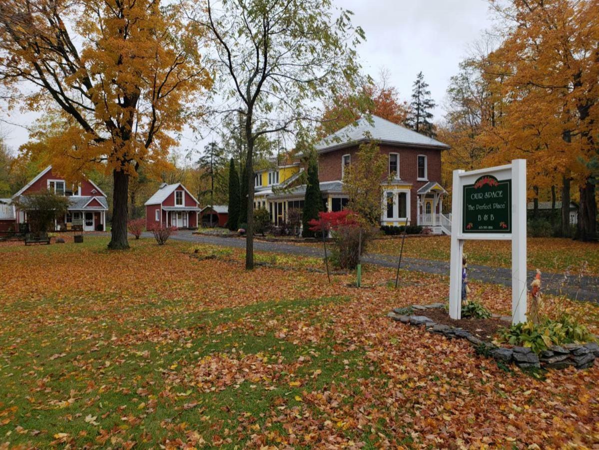 Our Space The Perfect Place B&B Picton Exterior photo
